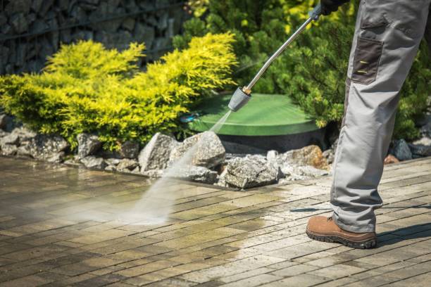 Best Pool Deck Cleaning  in Las Palmas Ii, TX